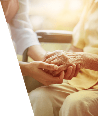 少額専門保険事業